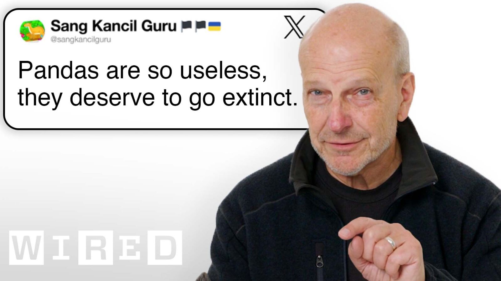 Paleontologist Answers Extinction Questions