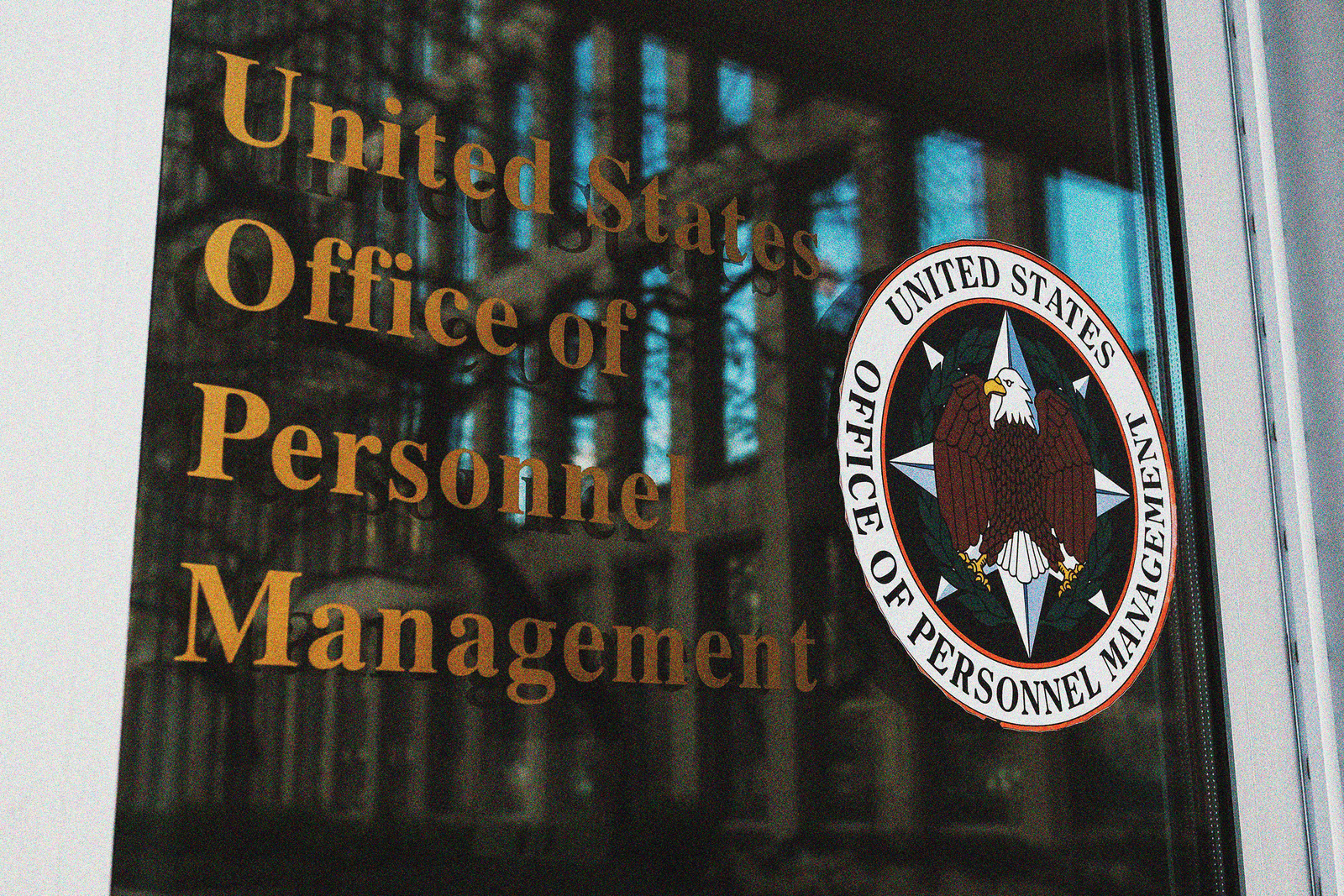 Former Palantir and Elon Musk Associates Are Taking Over Key Government IT Roles